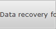 Data recovery for Ruston data